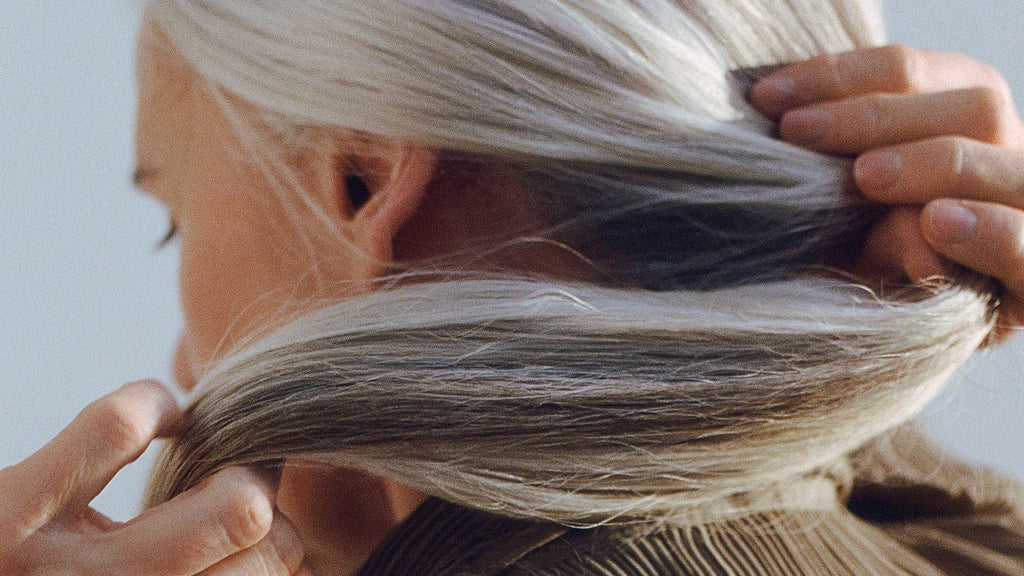Back of a model's head with long straight grey hair sweeping hair behind her